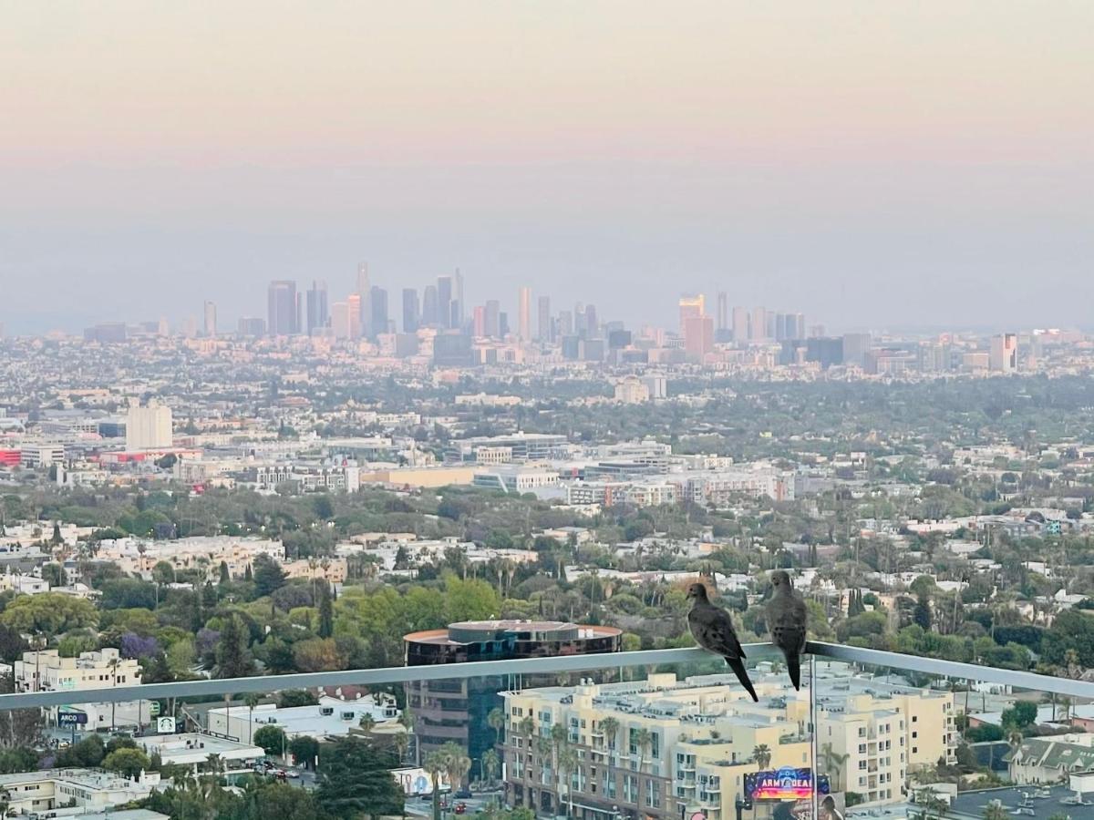 Stunning View Hollywood Hills Guest House Los Angeles Zewnętrze zdjęcie